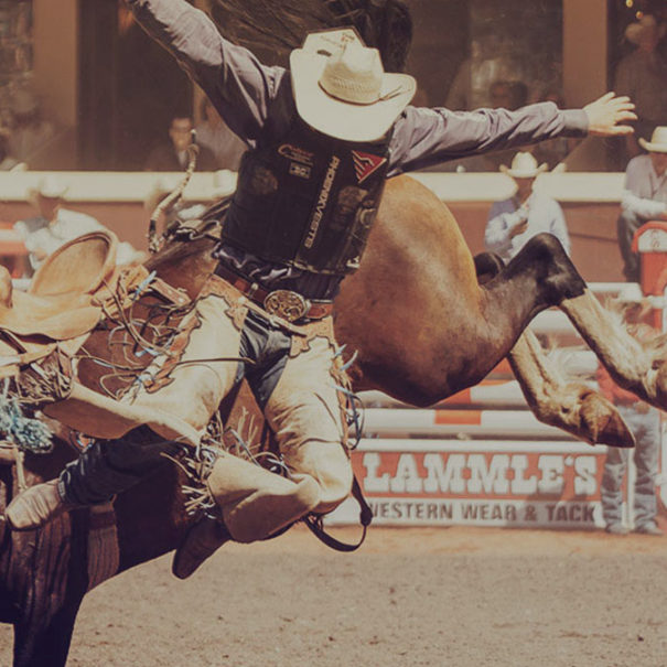 Calgary Stampede