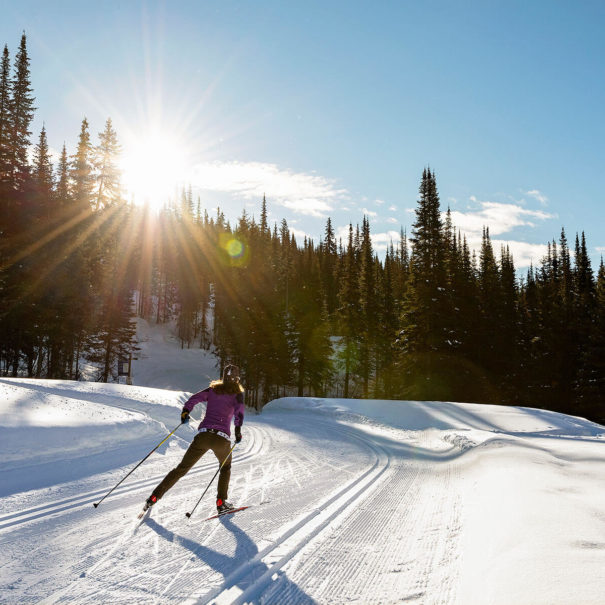 Cross Country Skiing