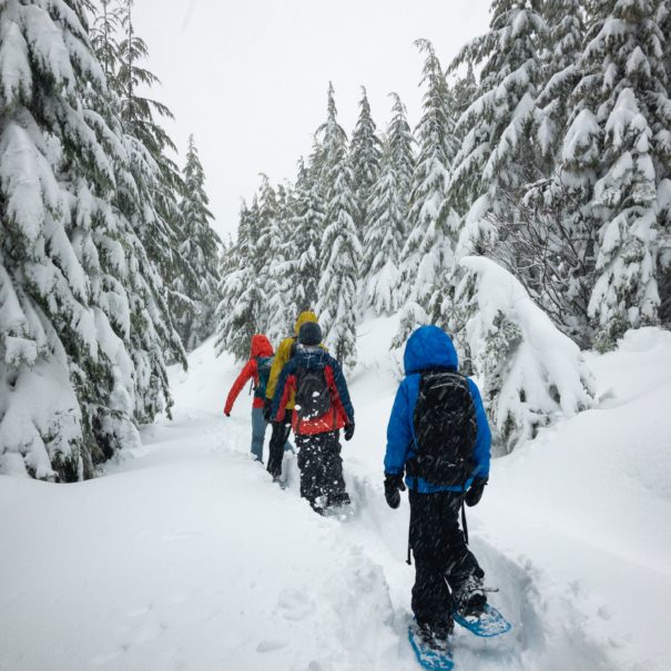 Snowshoe