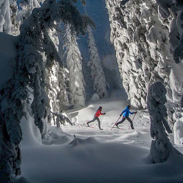 Cross Country Skiing