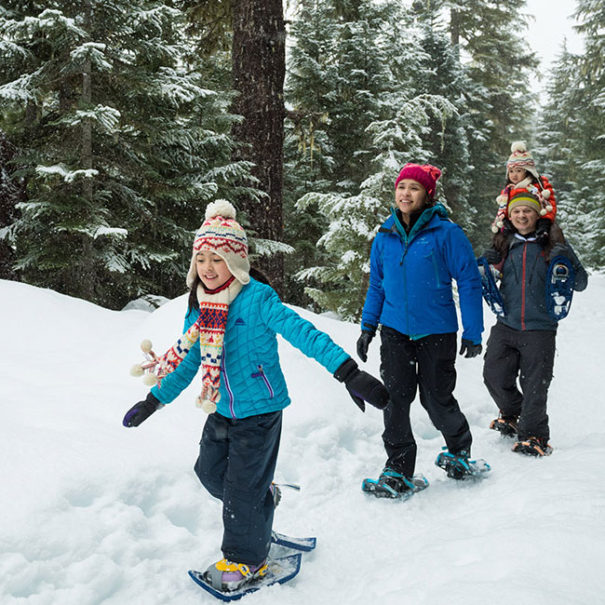Guided Snowshoe Tour