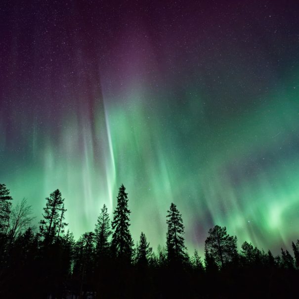 Northern Lights Viewing